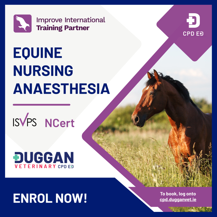 Improve International Equine Nursing Anaesthesia Blended learning course 