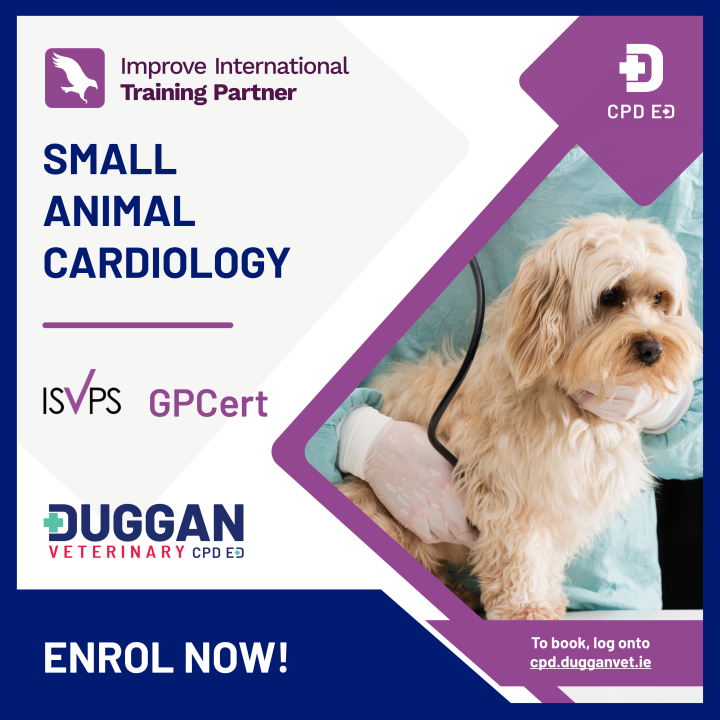 Improve International Cardiology Online Learning 
